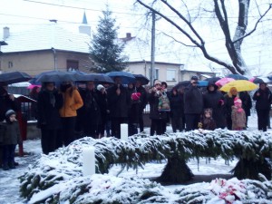 IMG 20171203 151706 (1)