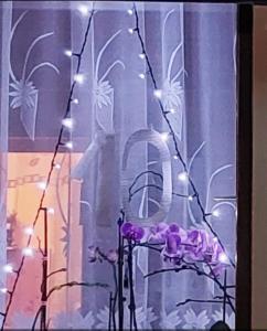 Screenshot 20220106-204206 Facebook